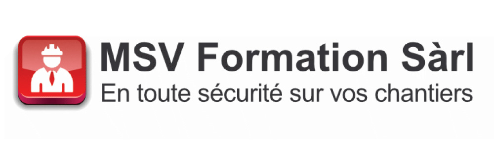 Simao et deillon a propos MSV Formation